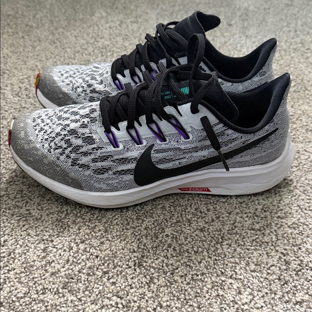 Nike zoom pegasus